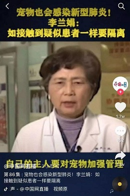 A screenshot of the video interview of Prof. Li Lanjuan, a epidemiologist, on which the caption says pets are also vulnerable to the virus.